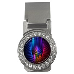 Bird Feathers Rainbow Color Pink Purple Blue Orange Gold Money Clips (cz) 