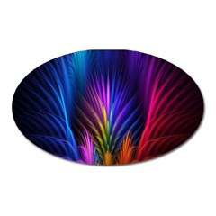 Bird Feathers Rainbow Color Pink Purple Blue Orange Gold Oval Magnet