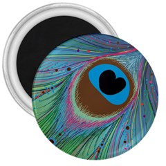 Peacock Feather Lines Background 3  Magnets