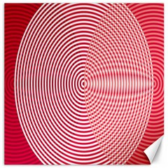 Circle Line Red Pink White Wave Canvas 16  X 16  