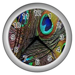 Peacock Feathers Wall Clocks (silver) 