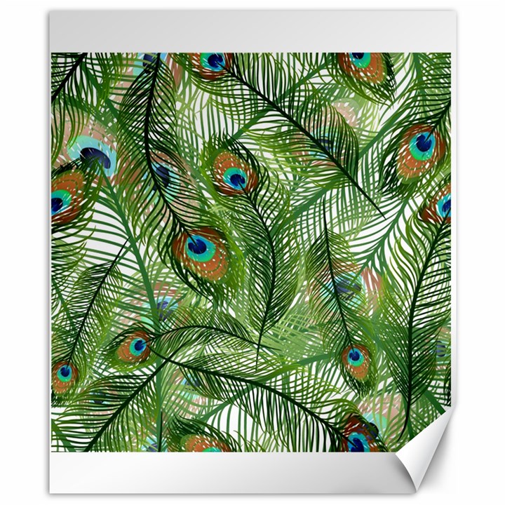 Peacock Feathers Pattern Canvas 8  x 10 