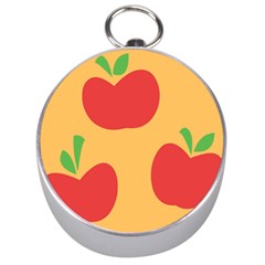 Apple Fruit Red Orange Silver Compasses by Alisyart