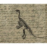 Dinosaur skeleton Deluxe Canvas 14  x 11  14  x 11  x 1.5  Stretched Canvas