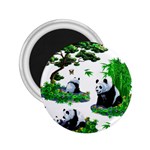 Cute Panda Cartoon 2.25  Magnets Front