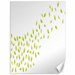 Leaves Leaf Green Fly Landing Canvas 36  X 48  