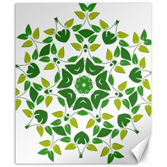 Leaf Green Frame Star Canvas 20  X 24  