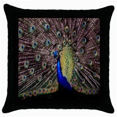 Multi Colored Peacock Throw Pillow Case (black) by Simbadda