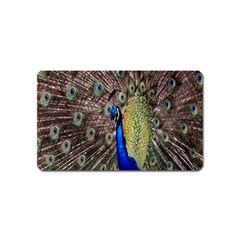 Multi Colored Peacock Magnet (name Card) by Simbadda