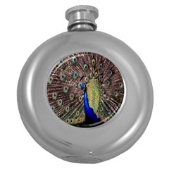 Multi Colored Peacock Round Hip Flask (5 Oz) by Simbadda