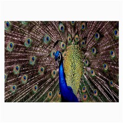 Multi Colored Peacock Large Glasses Cloth (2-side) by Simbadda