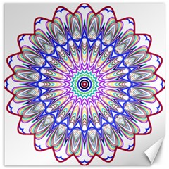 Prismatic Line Star Flower Rainbow Canvas 20  X 20   by Alisyart