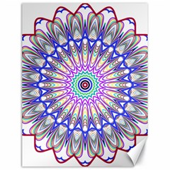 Prismatic Line Star Flower Rainbow Canvas 18  X 24  