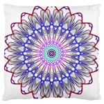 Prismatic Line Star Flower Rainbow Large Flano Cushion Case (One Side) Front