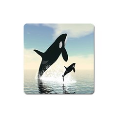 Whale Mum Baby Jump Square Magnet by Alisyart