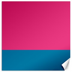 Flag Color Pink Blue Canvas 12  X 12   by Alisyart