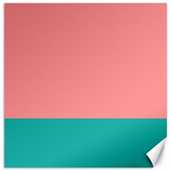 Flag Color Pink Blue Line Canvas 20  X 20   by Alisyart