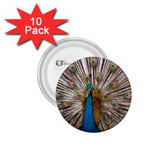 Indian Peacock Plumage 1 75  Buttons (10 Pack) by Simbadda