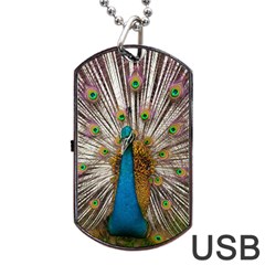 Indian Peacock Plumage Dog Tag Usb Flash (two Sides) by Simbadda