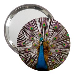 Indian Peacock Plumage 3  Handbag Mirrors by Simbadda
