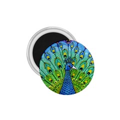 Peacock Bird Animation 1 75  Magnets by Simbadda