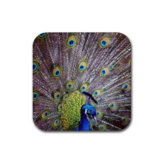 Peacock Bird Feathers Rubber Coaster (square)  by Simbadda