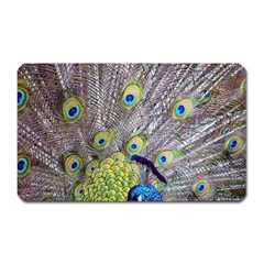 Peacock Bird Feathers Magnet (rectangular) by Simbadda