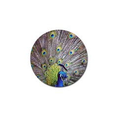 Peacock Bird Feathers Golf Ball Marker (4 Pack) by Simbadda