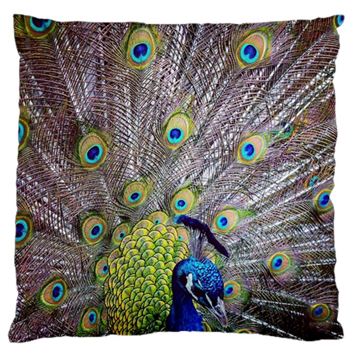 Peacock Bird Feathers Large Flano Cushion Case (One Side)