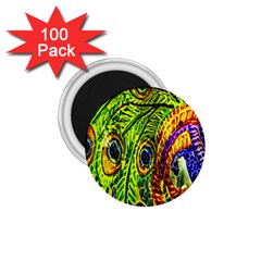 Peacock Feathers 1 75  Magnets (100 Pack)  by Simbadda