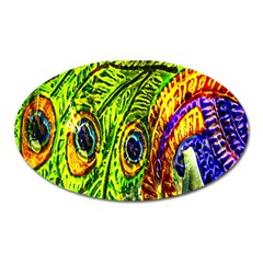 Peacock Feathers Oval Magnet by Simbadda