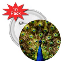 Peacock Bird 2 25  Buttons (10 Pack)  by Simbadda