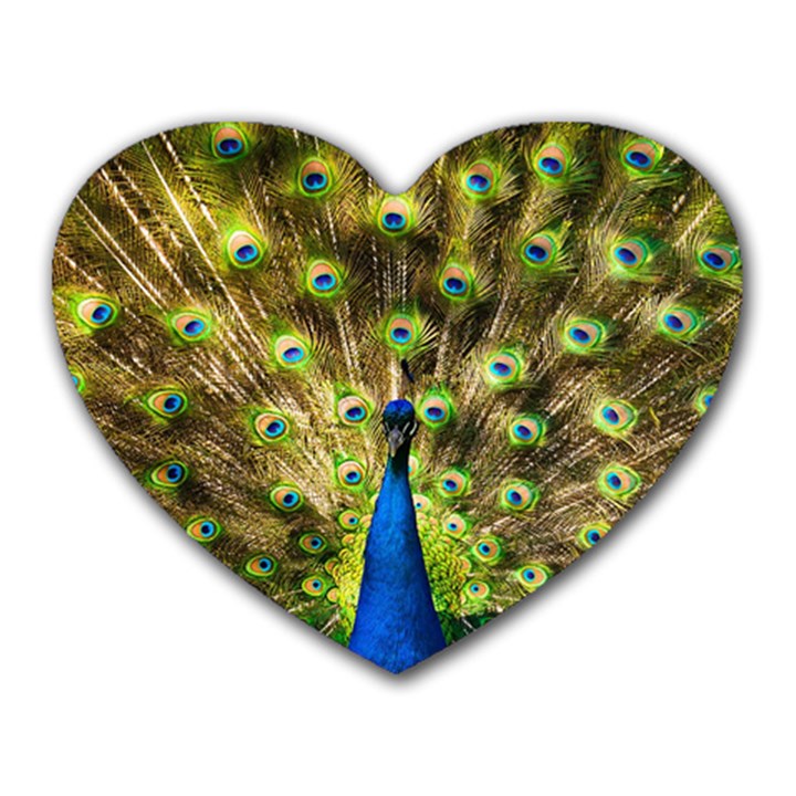 Peacock Bird Heart Mousepads