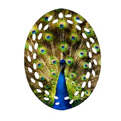 Peacock Bird Ornament (oval Filigree) by Simbadda