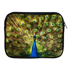 Peacock Bird Apple Ipad 2/3/4 Zipper Cases