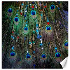Peacock Jewelery Canvas 12  X 12   by Simbadda