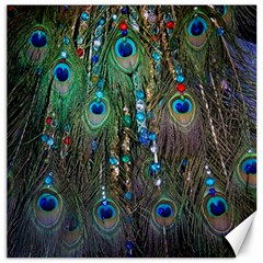 Peacock Jewelery Canvas 16  X 16   by Simbadda