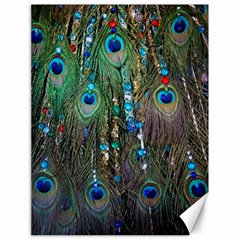 Peacock Jewelery Canvas 18  X 24   by Simbadda
