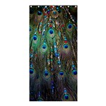 Peacock Jewelery Shower Curtain 36  x 72  (Stall)  Curtain(36 X72 ) - 33.26 x66.24  Curtain(36 X72 )