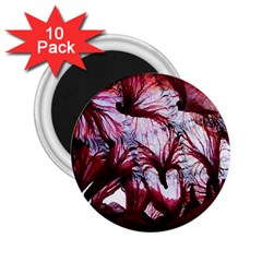 Jellyfish Ballet Wind 2 25  Magnets (10 Pack)  by Simbadda