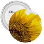 Plant Nature Leaf Flower Season 3  Buttons Front