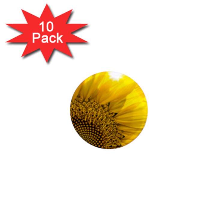 Plant Nature Leaf Flower Season 1  Mini Magnet (10 pack) 