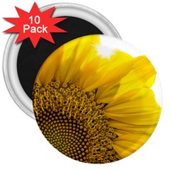 Plant Nature Leaf Flower Season 3  Magnets (10 Pack)  by Simbadda
