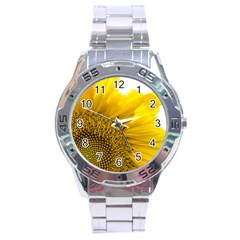 Plant Nature Leaf Flower Season Stainless Steel Analogue Watch by Simbadda