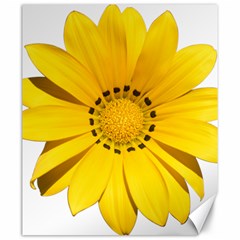 Transparent Flower Summer Yellow Canvas 20  X 24  