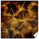 Leaves Autumn Texture Brown Canvas 20  x 20   19 x19.27  Canvas - 1