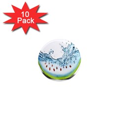 Fruit Water Slice Watermelon 1  Mini Magnet (10 pack) 