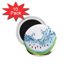 Fruit Water Slice Watermelon 1.75  Magnets (10 pack) 