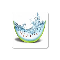 Fruit Water Slice Watermelon Square Magnet