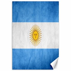 Argentina Texture Background Canvas 12  x 18  